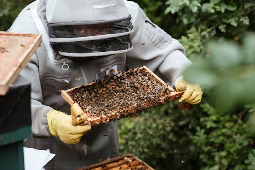 Beyond Buzzwords: Building a Resilient SME with a Practical Sustainability Framework