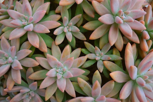 Deciphering the Blueprint: How to Engineer a Subconscious Pattern Shift