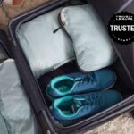 What Does a Sparrow Represent: Insights into Symbolism